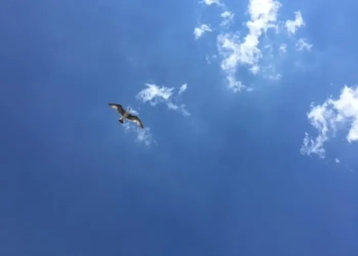 Stockrose Apartamento Schashagen